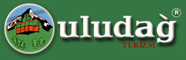 logo.jpg (9163 bytes)